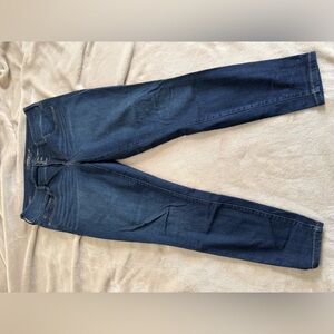 Torrid Jegging Jeans